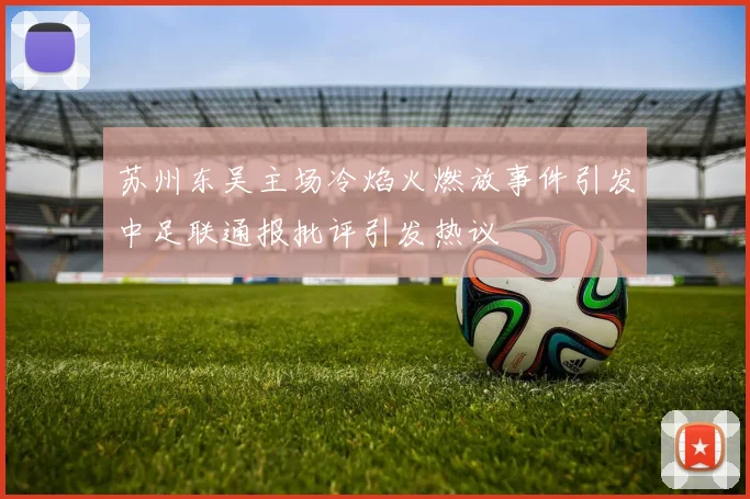 苏州东吴主场冷焰火燃放事件引发中足联通报批评引发热议