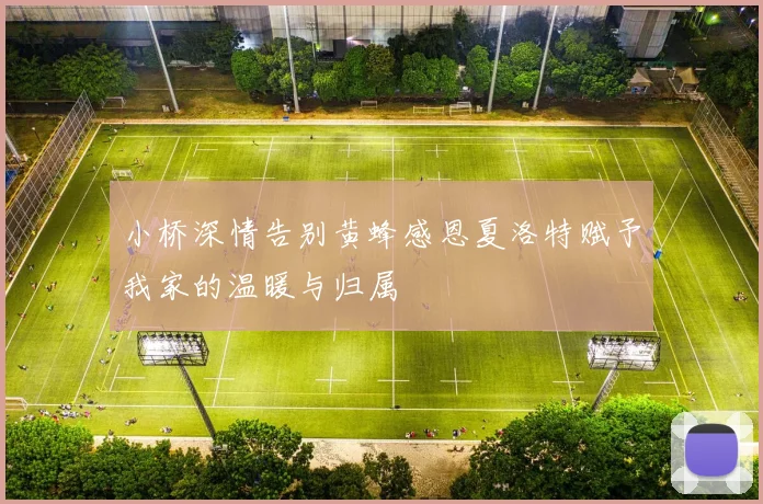 小桥深情告别黄蜂感恩夏洛特赋予我家的温暖与归属